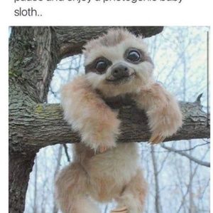 Meet your Posher, Erika